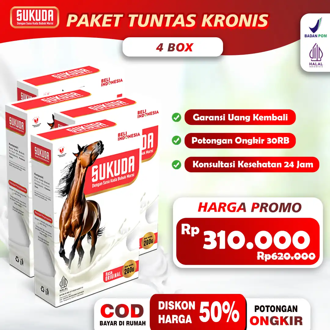 paket-4.jpg