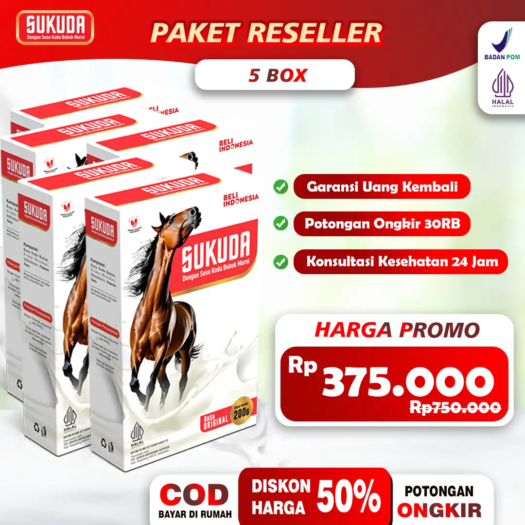 paket-5.jpg