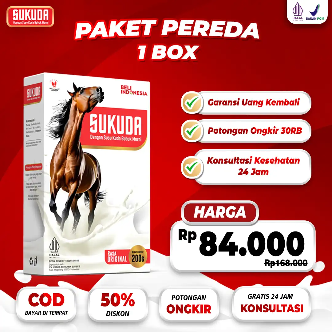 paket-1.png