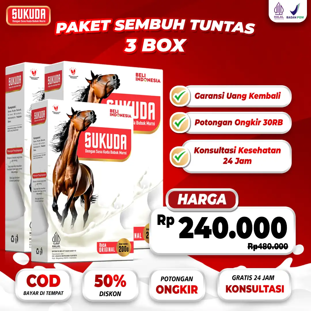paket-3.png