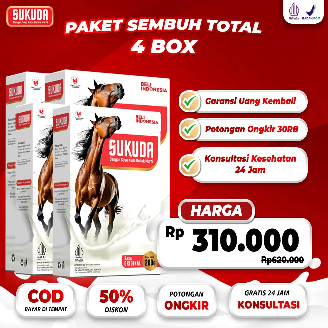 paket-4.png