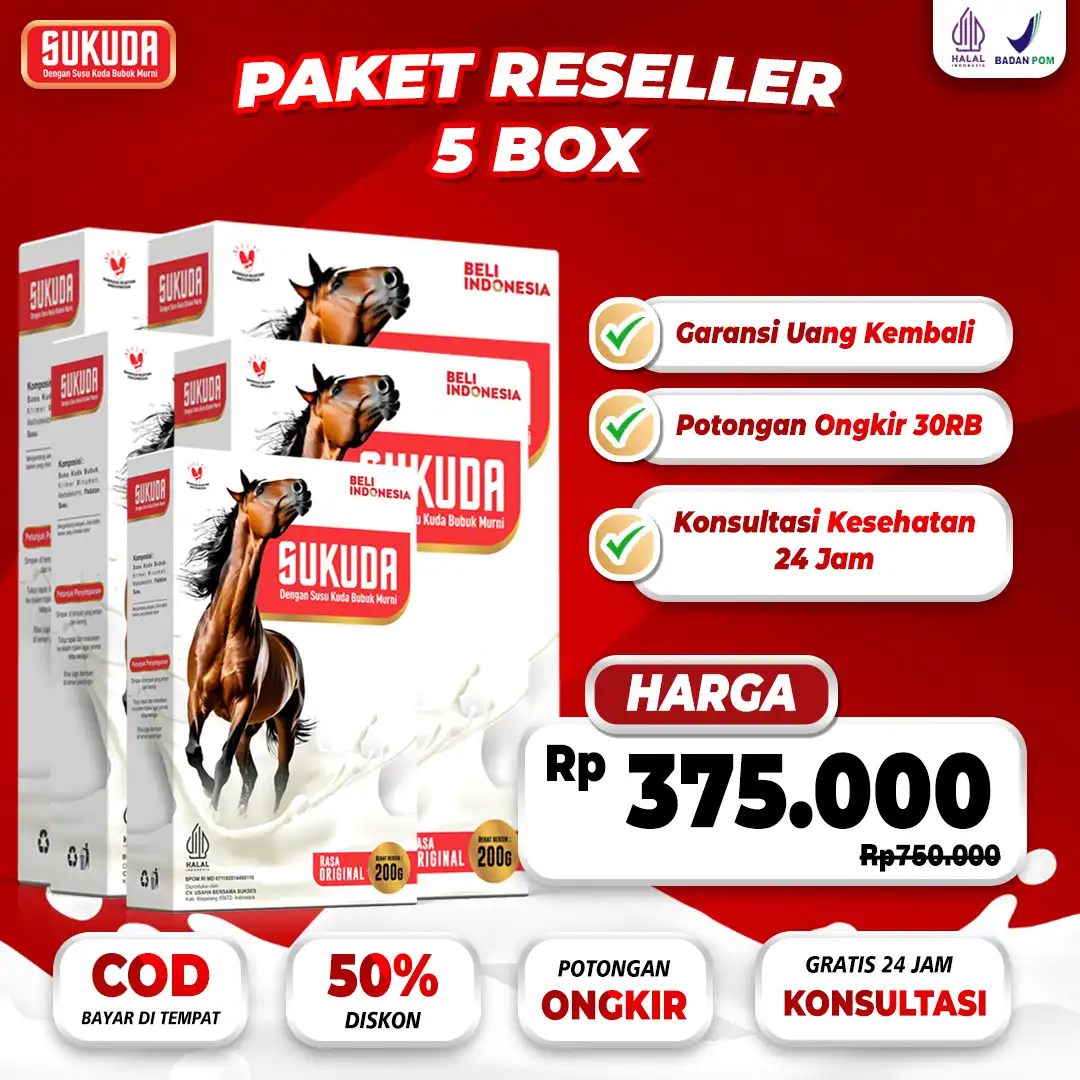 paket-5.png