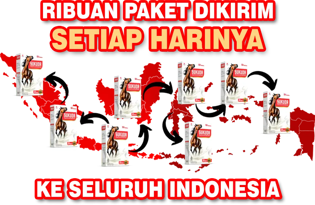 paket-end-2-2.png