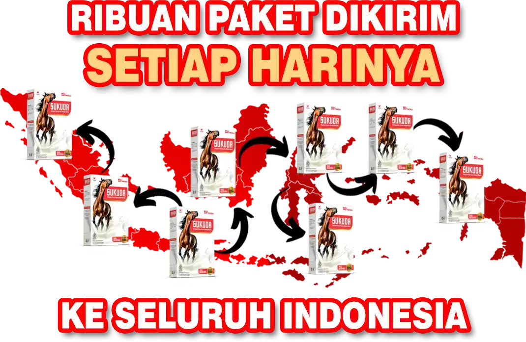 paket-end-2.png